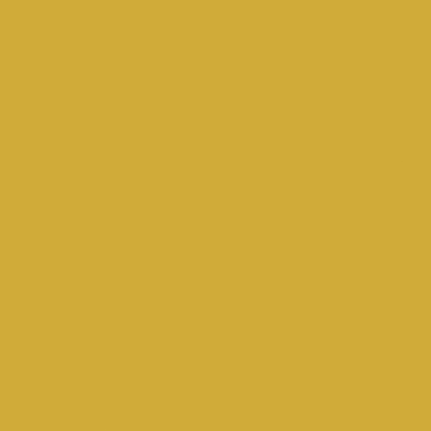 12" Permanet Vinyl -Yellow