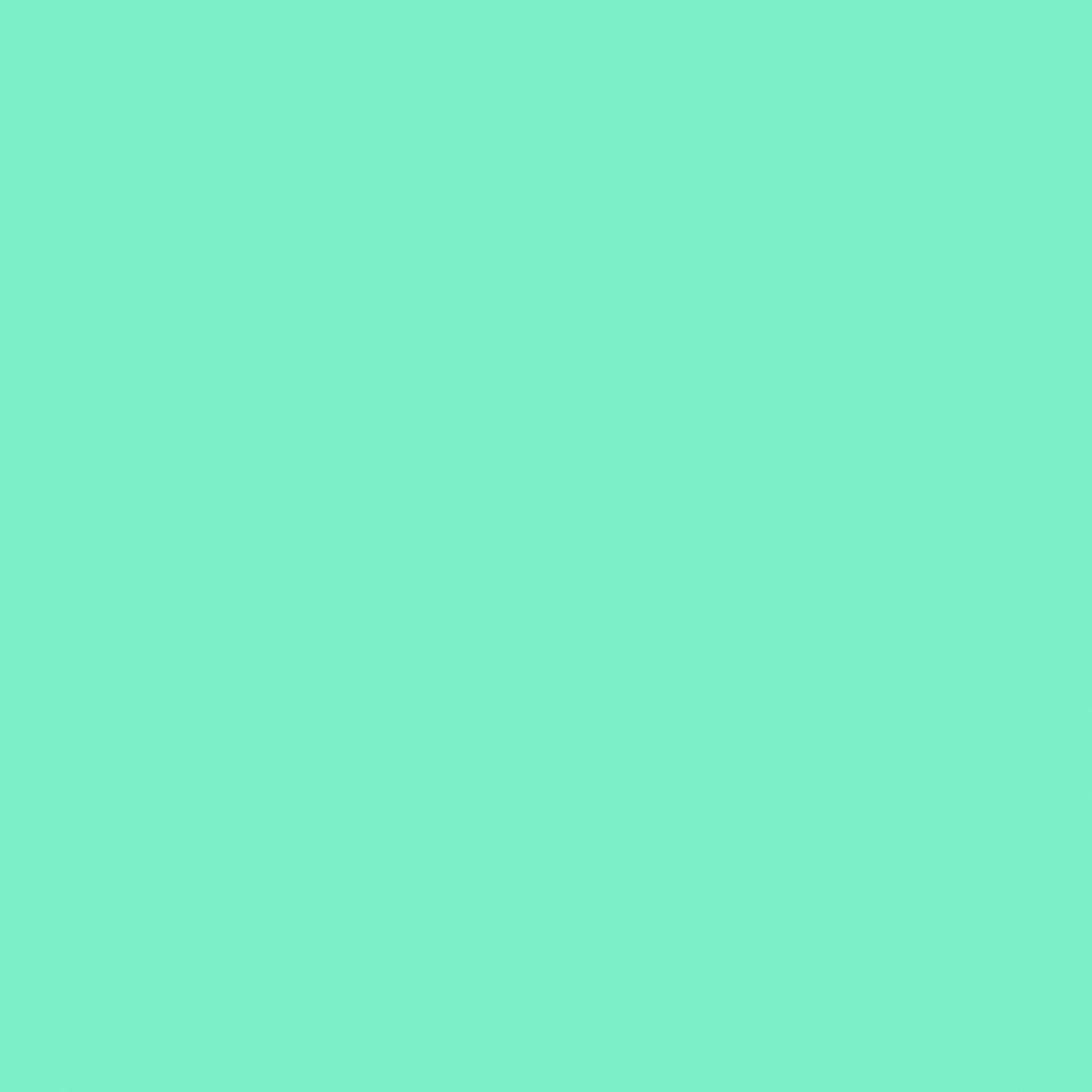 24" Permanet Vinyl -Mint
