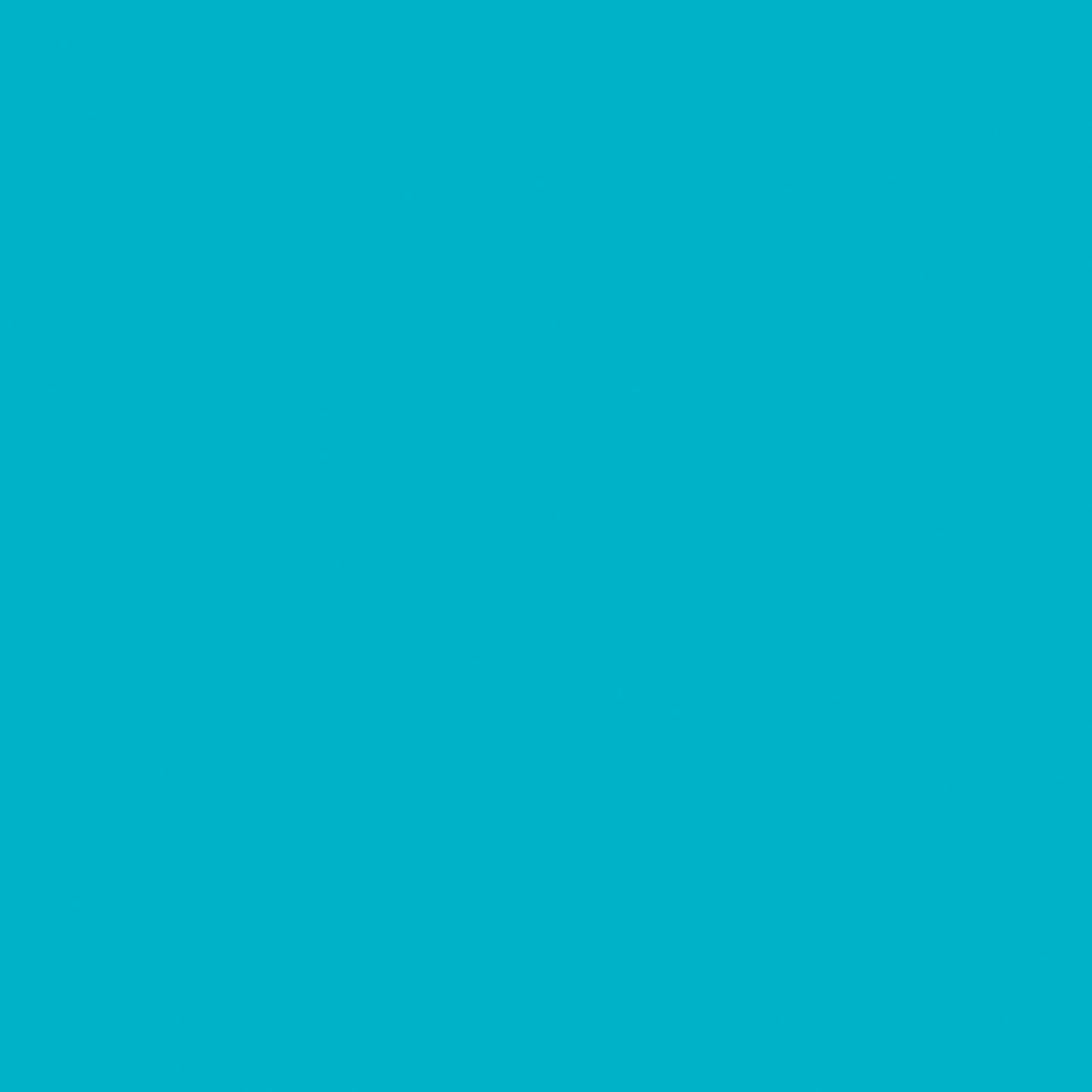 24" Permanet Vinyl -Sky Blue