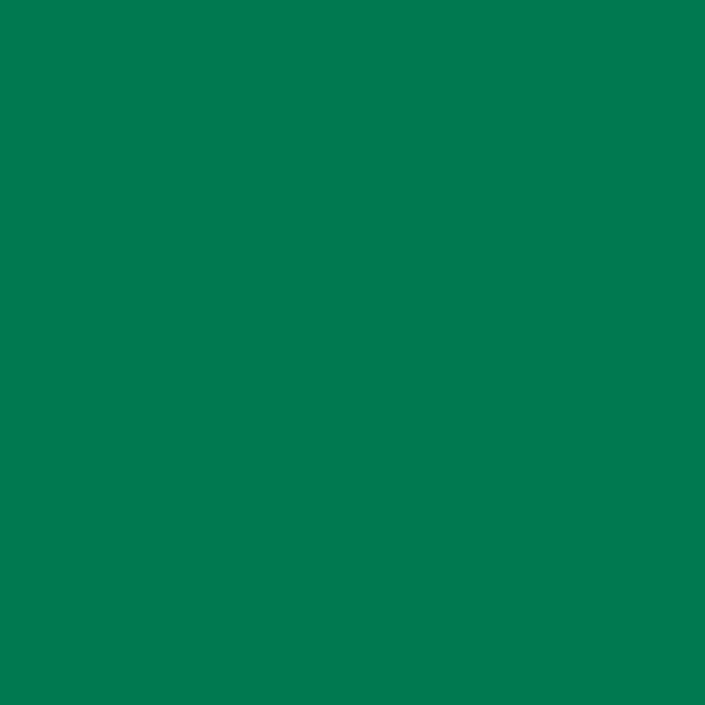 24" Permanet Vinyl -Green